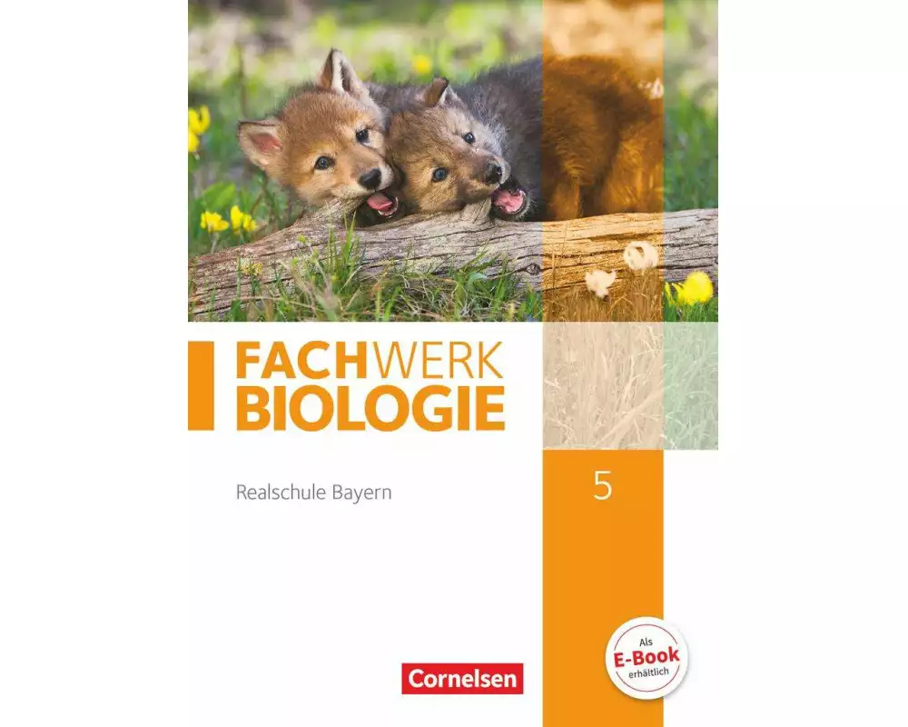 Fachwerk Biologie - Realschule Bayern - 5. Jahrgangsstufe