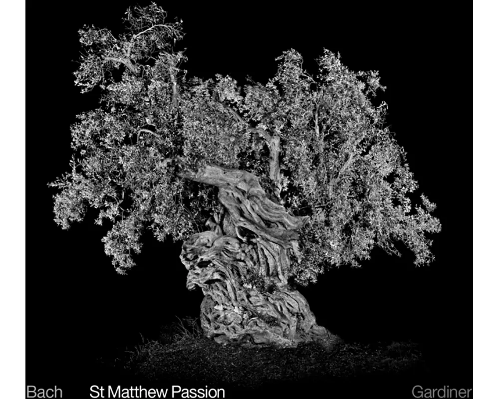 St Matthew Passion