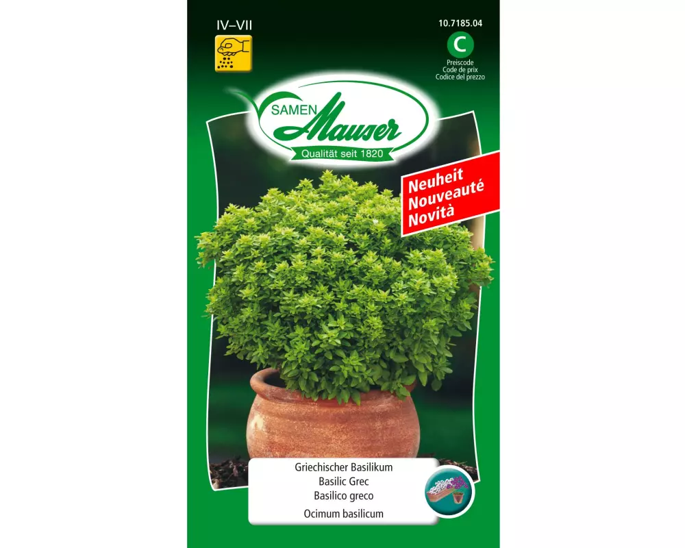 Samen Mauser Samen Griechischer Basilikum