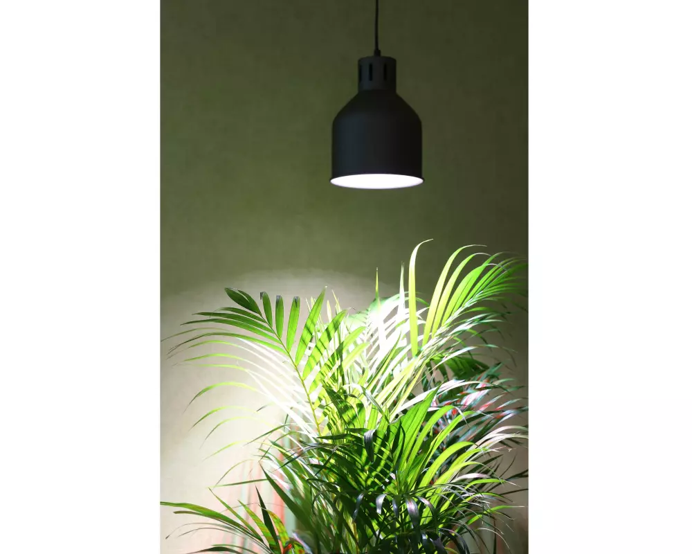 Venso Solutions Lampenschirm Saga E27, Hellgrau