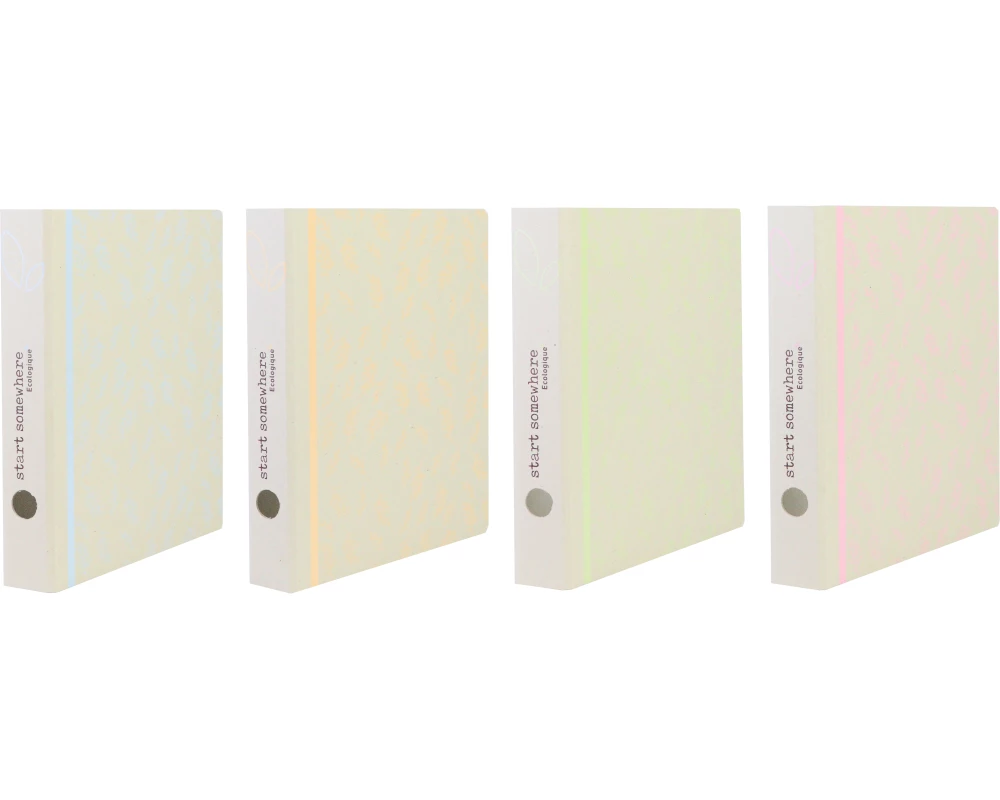 ANCOR Ringbuch Ecologique 116007 2-Ring A4