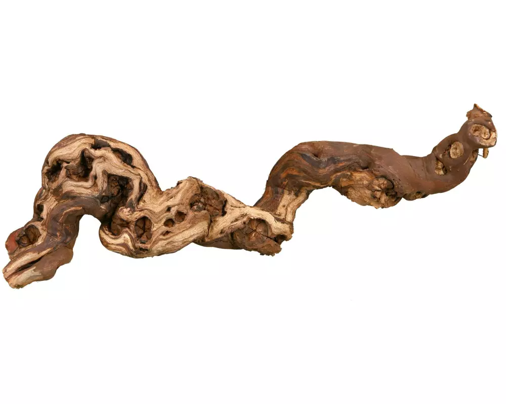 Trixie Weinrebenwurzel M wassergestrahlt, 30 - 40 cm