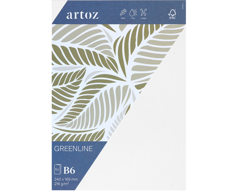 ARTOZ Karten 1001 B6 19236226-211 216g, birch 5 Blatt