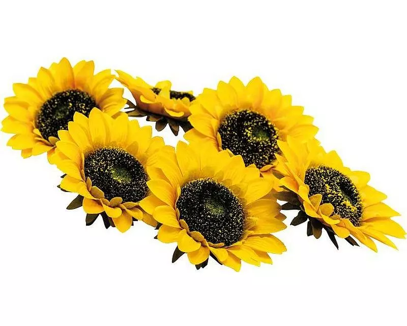 Dekomat AG Kunstblume Sommenblumenblüten 6 Stück