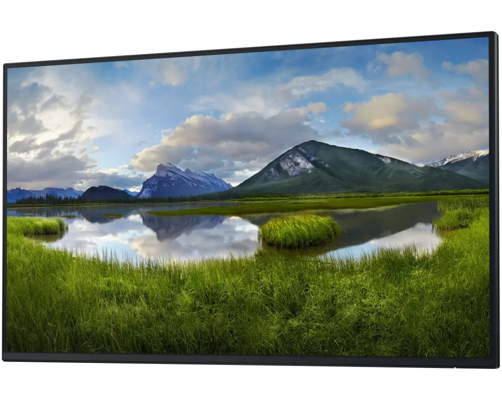 Dell Monitor P2725H WOST ohne Standfuss