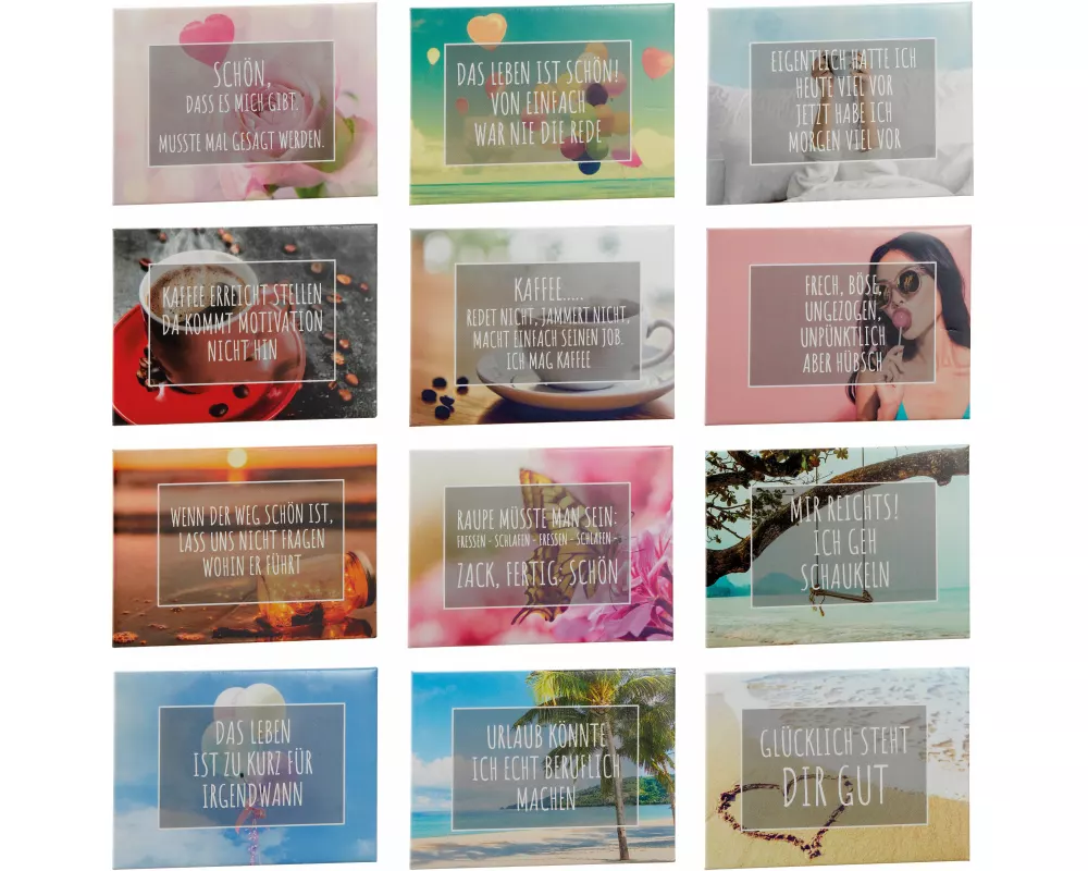 ROOST Magnet mit Sprüchen 10029968 assortiert