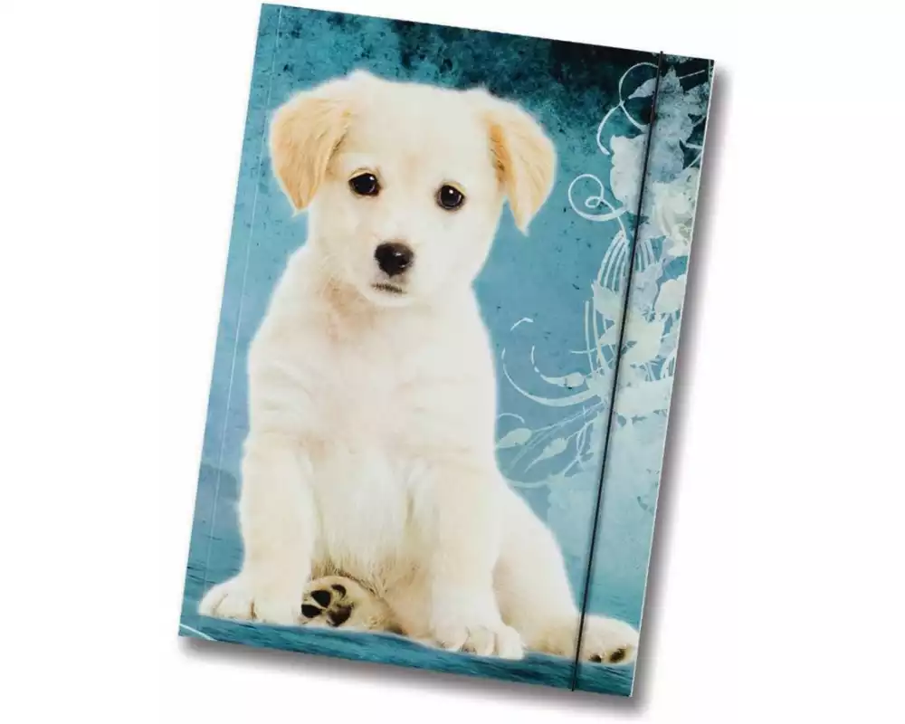 Folia Gummibandmappe A3 Hund