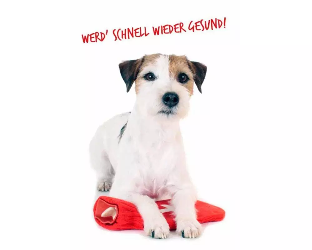 Seidel Genesungskarte Werd schnell wieder gesund