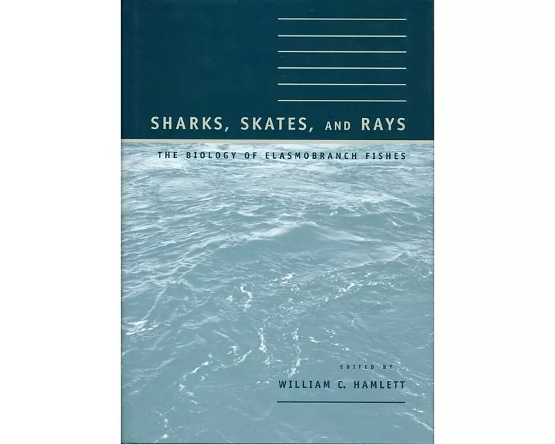 Sharks, Skates, and Rays