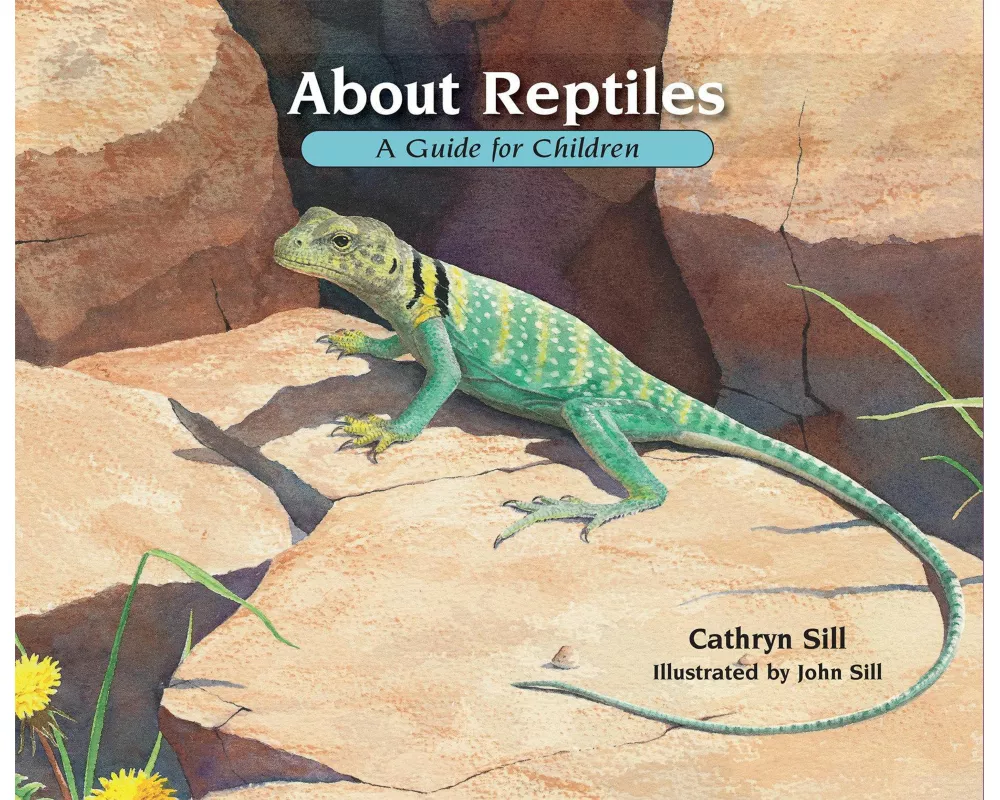 About Reptiles