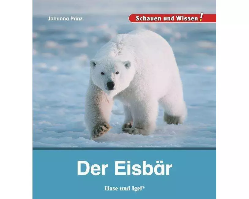 Der Eisbär