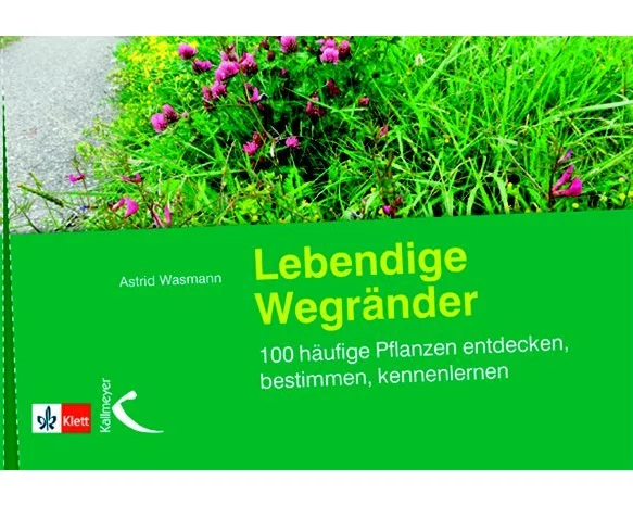 Lebendige Wegränder