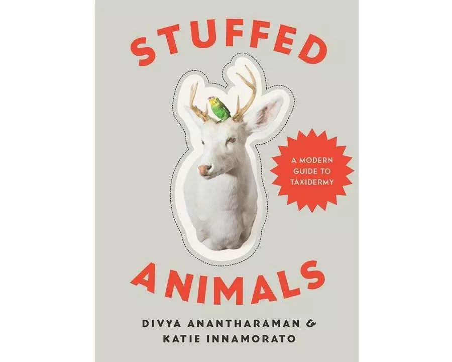 Stuffed Animals