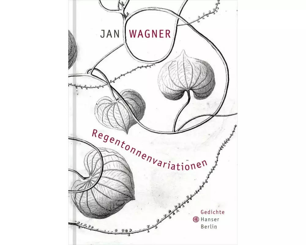 Regentonnenvariationen
