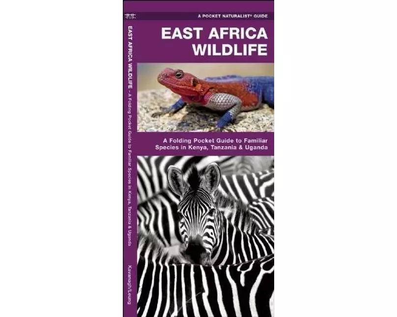 East Africa Wildlife