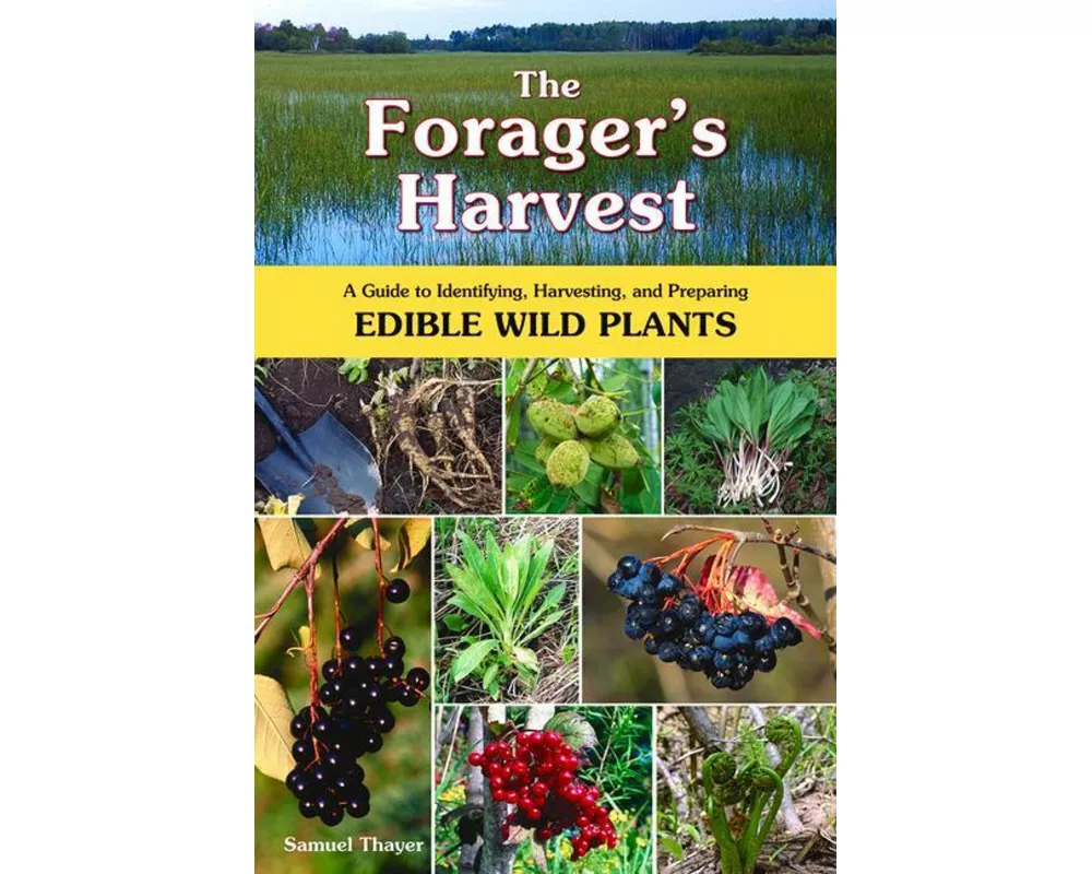 The Forager's Harvest