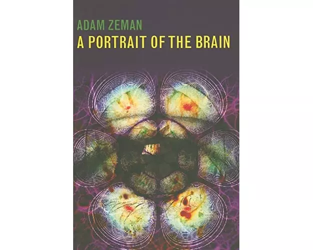 A Portrait of the Brain