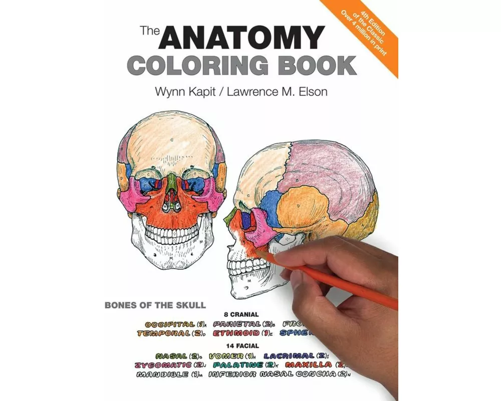 Anatomy Coloring Book, The