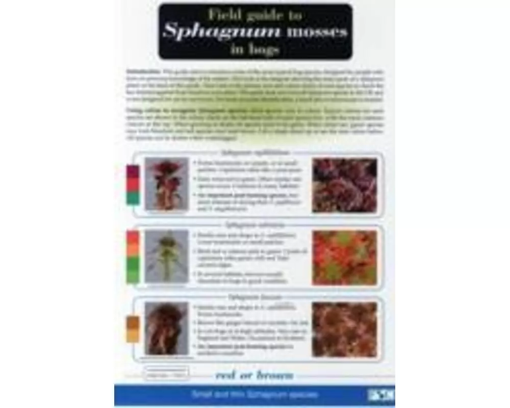 Field Guide to Sphagnum Mosses in Bogs