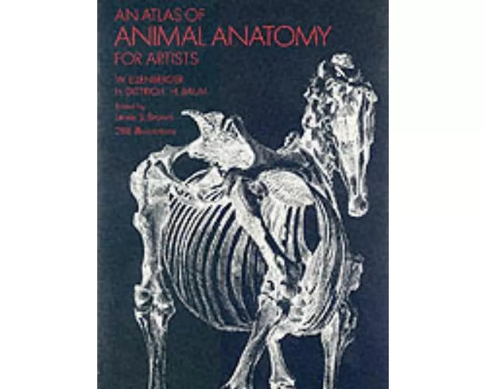 An Atlas of Animal Anatomy for Artists