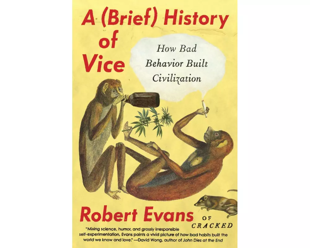 A Brief History of Vice