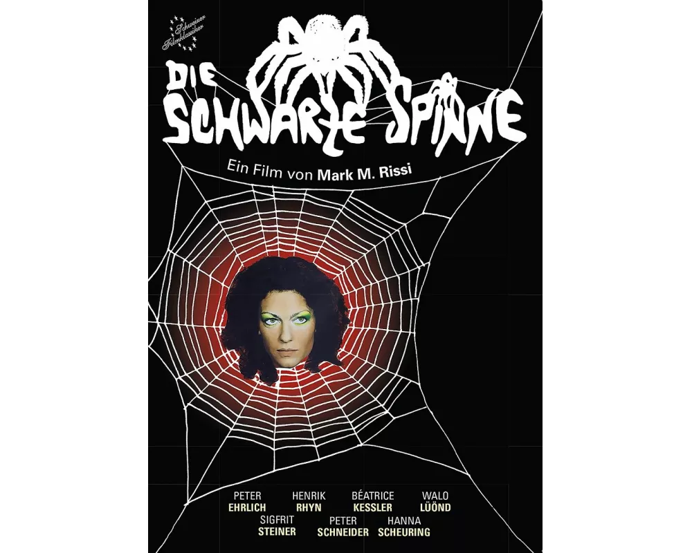 Die schwarze Spinne