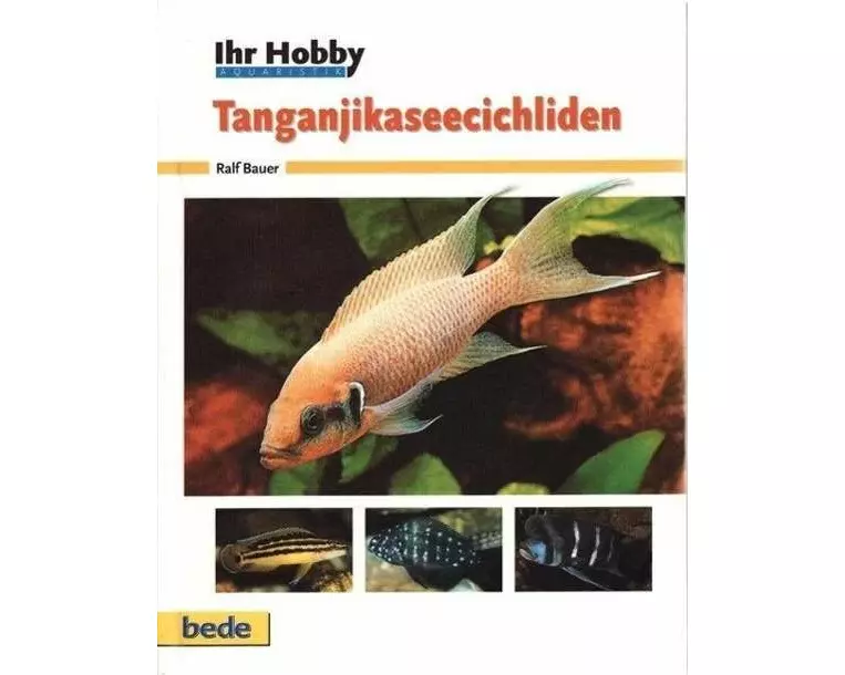 Tanganjikaseecichliden