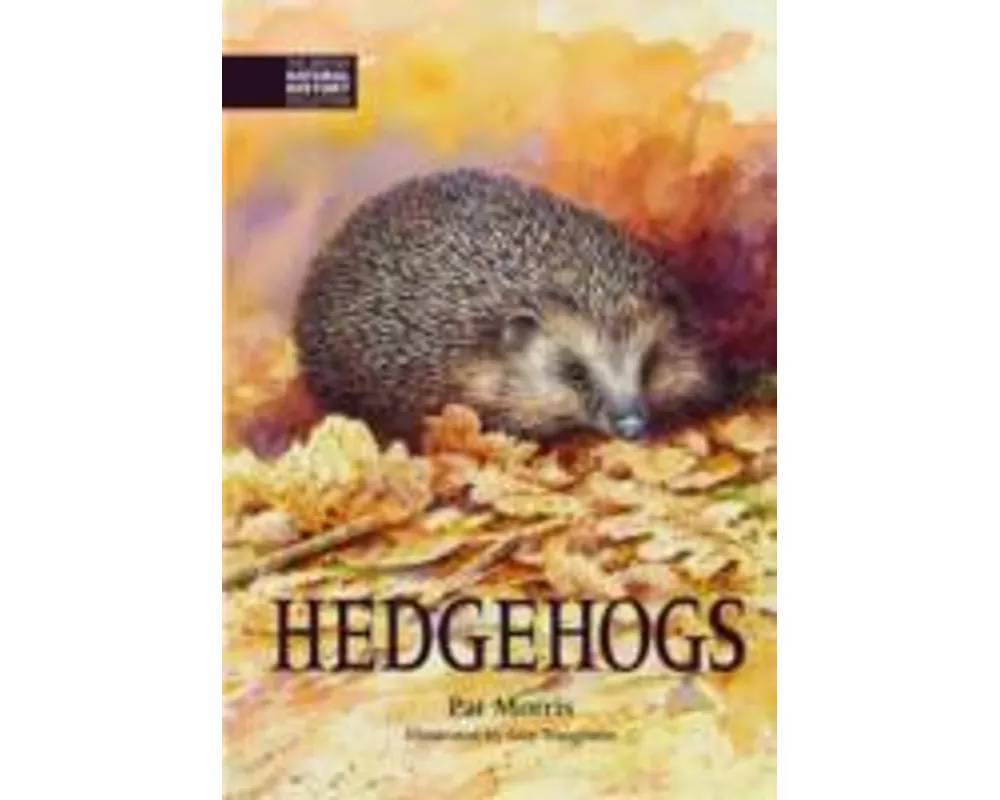 Hedgehogs