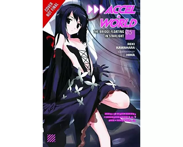 Accel World, Vol. 5 (Novel)