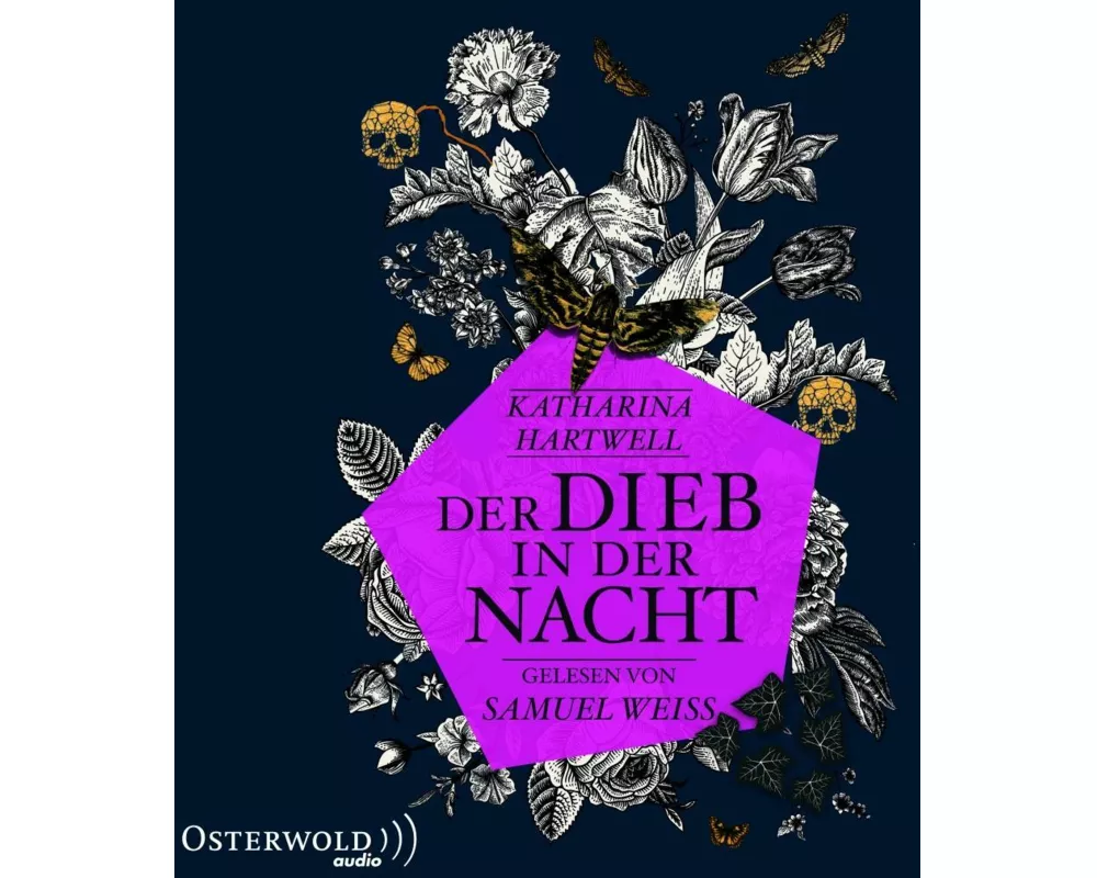 Der Dieb in der Nacht