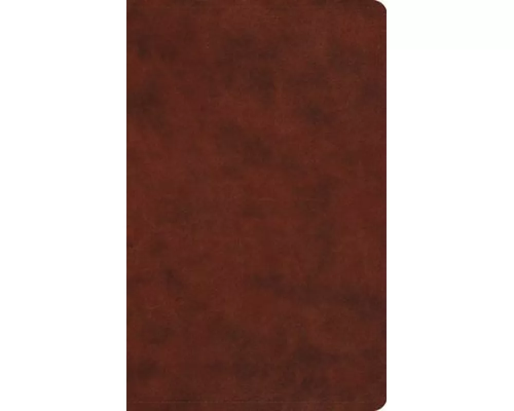 ESV Large Print Value Thinline Bible