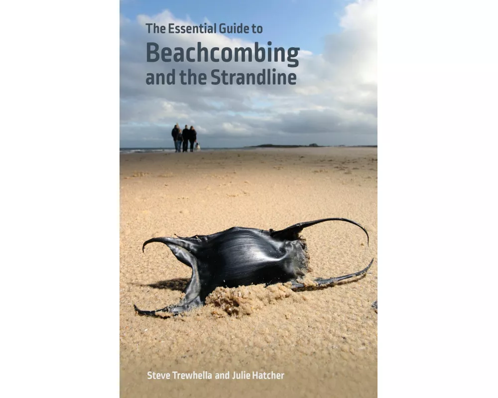 The Essential Guide to Beachcombing and the Strandline
