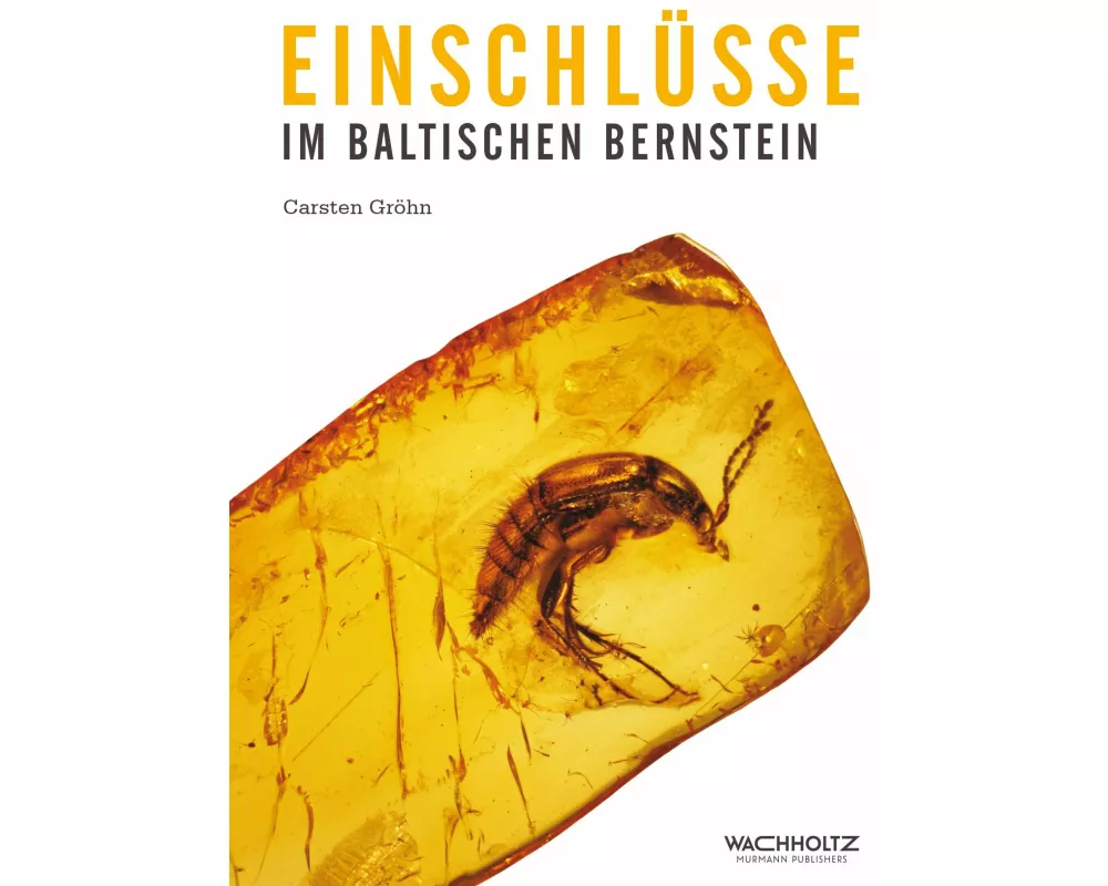 Einschlüsse im baltischen Bernstein