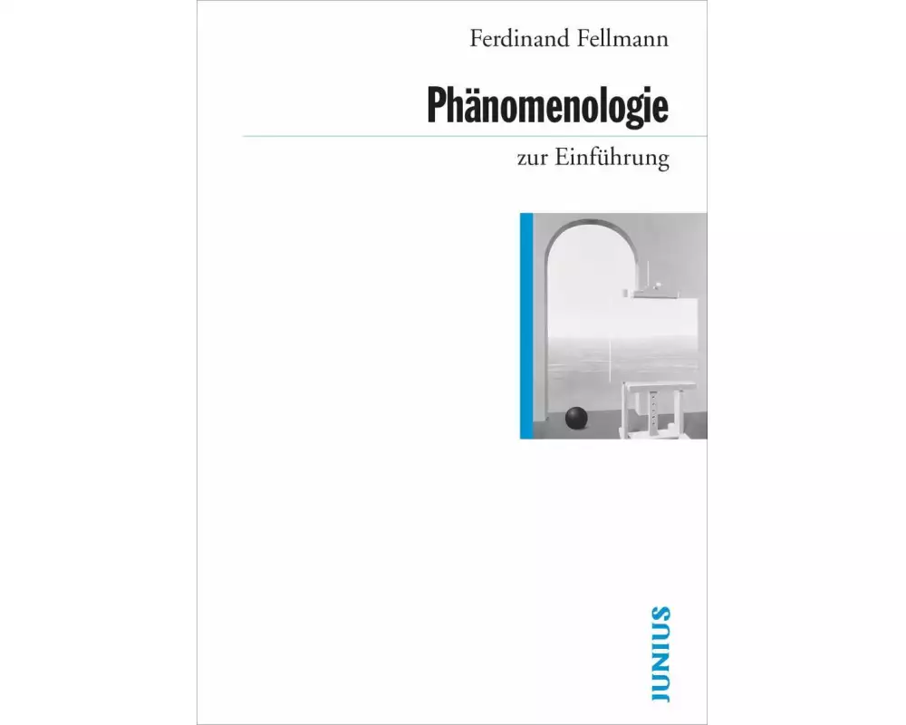 Phänomenologie zur Einführung