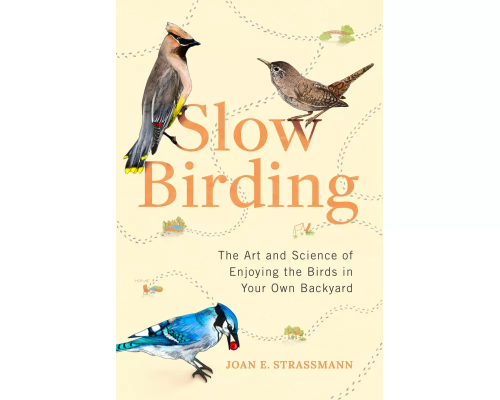 Slow Birding