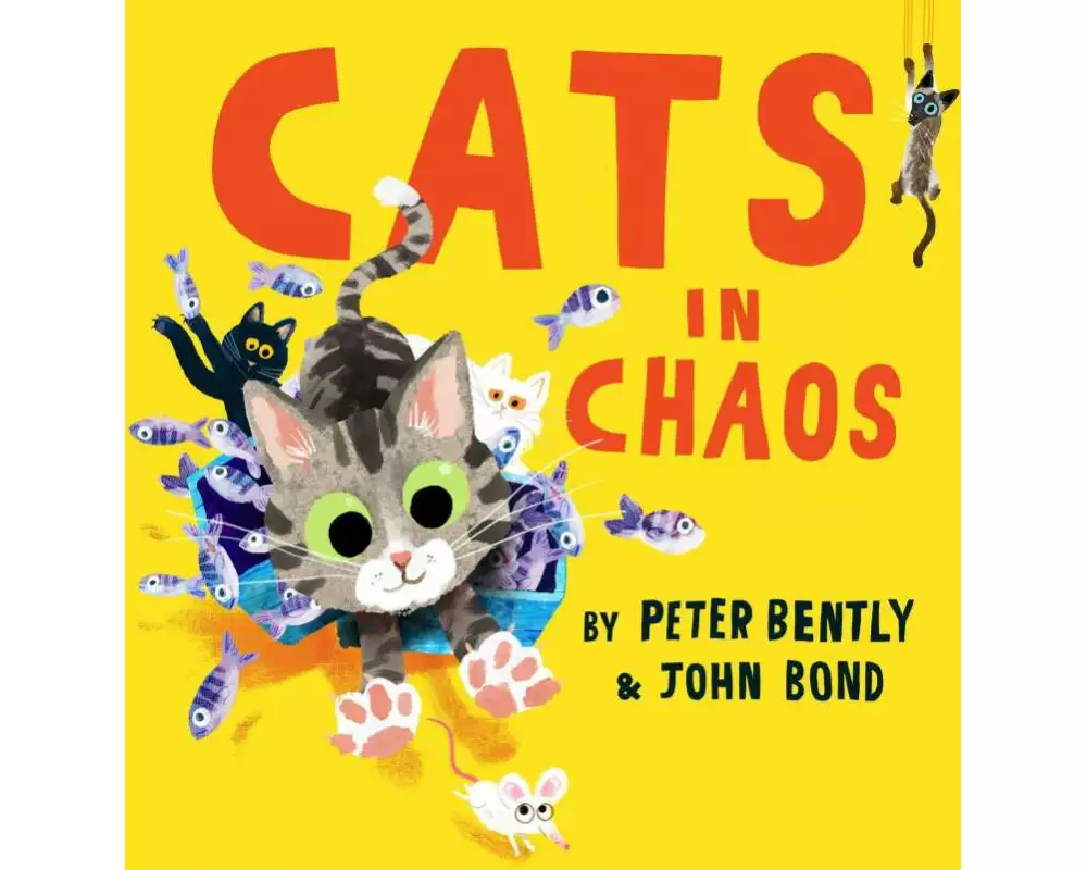 Cats in Chaos