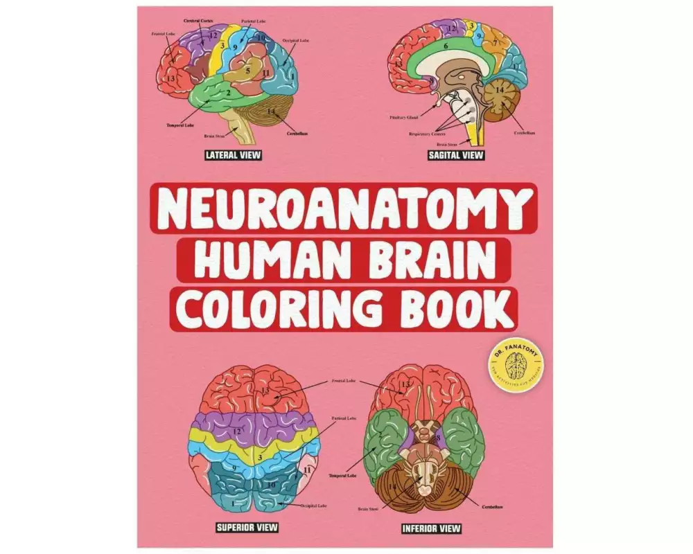 Neuroanatomy Human Brain Coloring Book