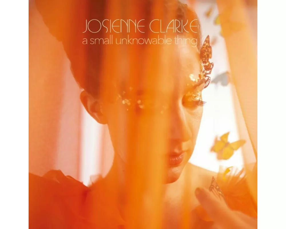 A Small Unknowable Thing