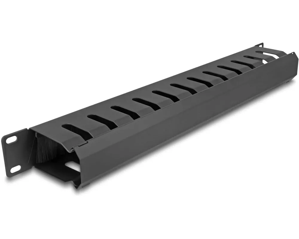 Delock Kabelführungspanel 1HE mit 2 Öffnungen 19" Rack, Schwarz