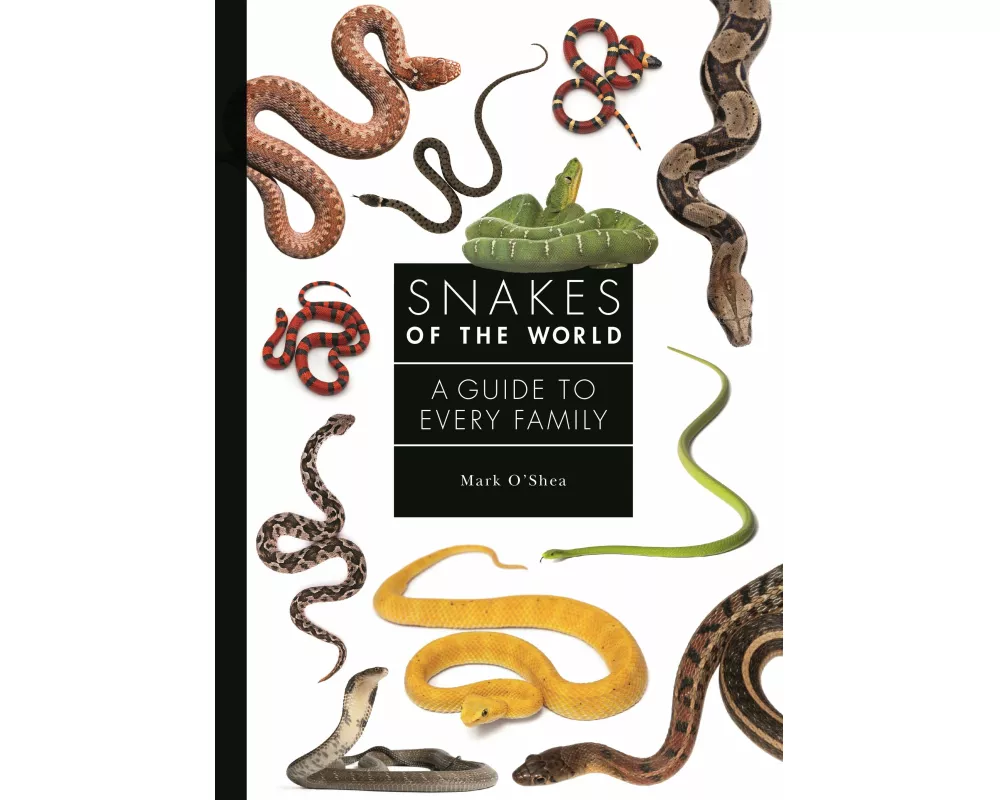 Snakes of the World