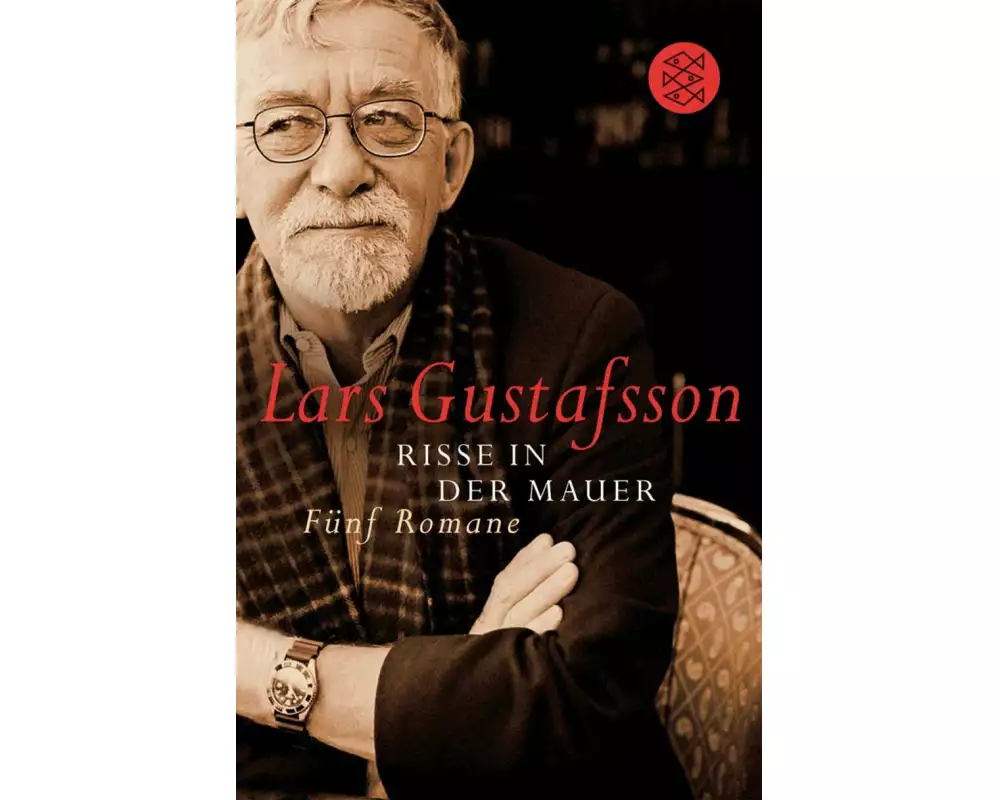 Risse in der Mauer
