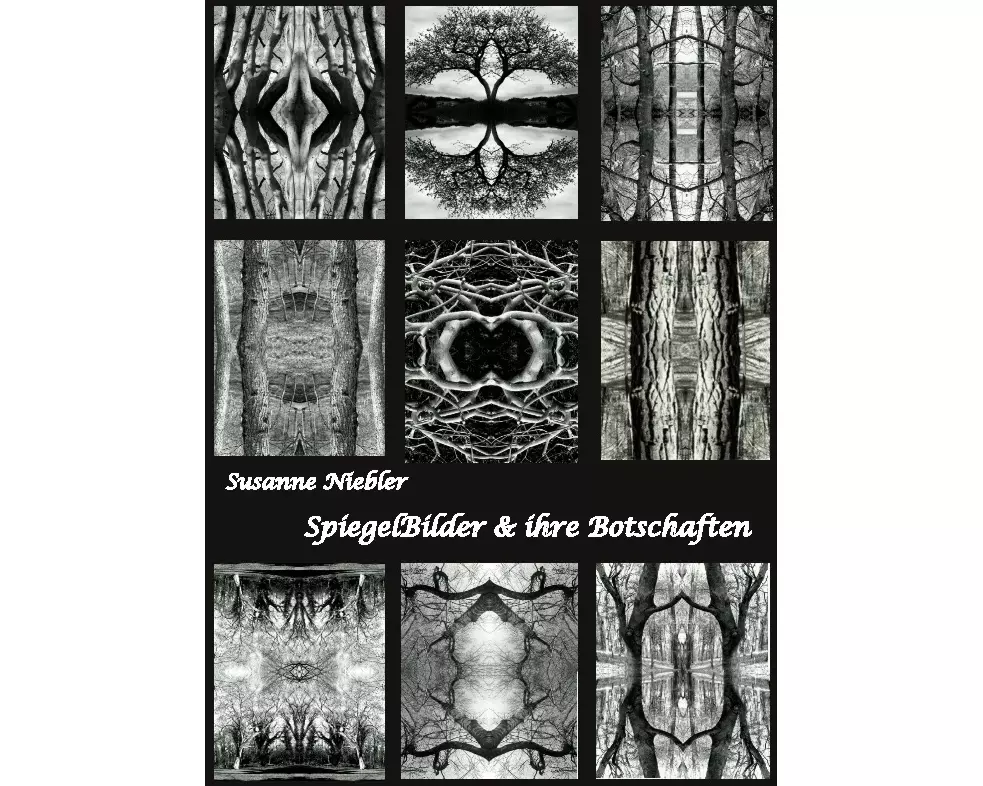 SpiegelBilder und ihre Botschaften