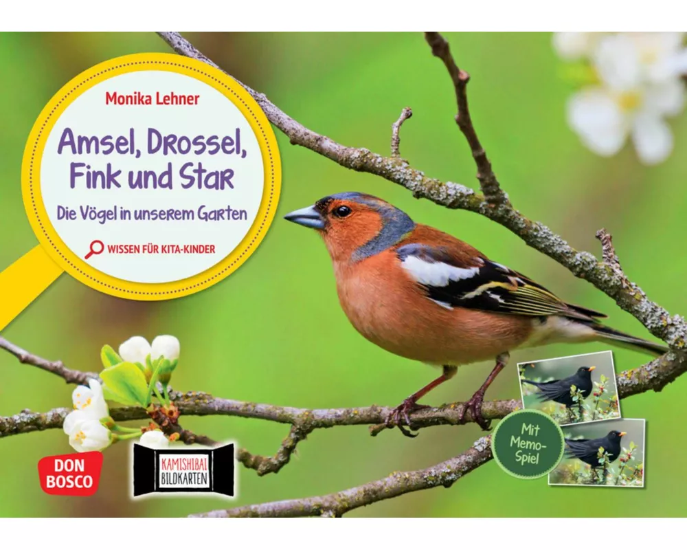 Amsel, Drossel, Fink und Star. Die Vögel in unserem Garten. Kamishibai Bildkarten und Memo-Spiel