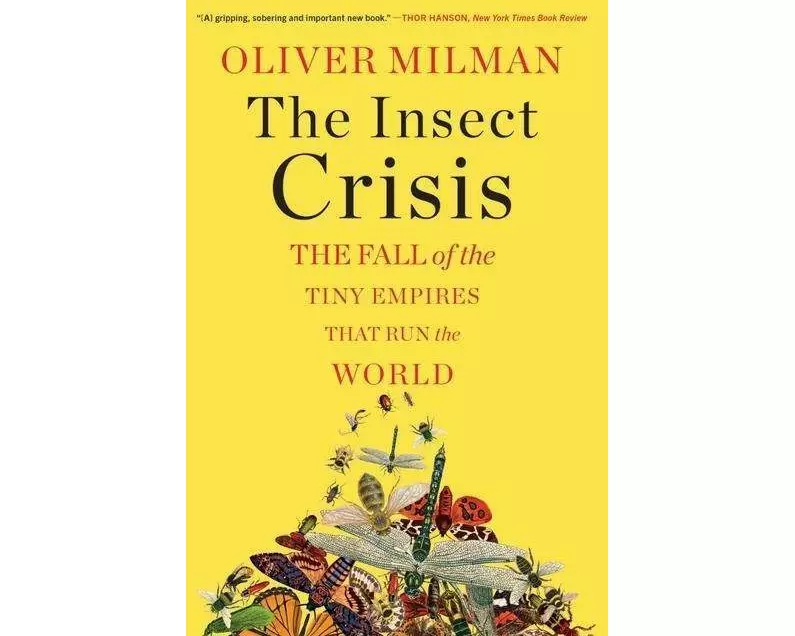 The Insect Crisis