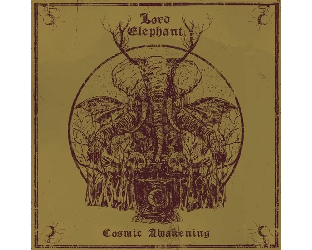 Cosmic Awakening