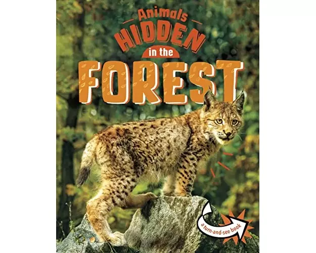 Animals Hidden in the Forest