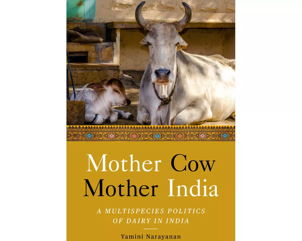 Mother Cow, Mother India