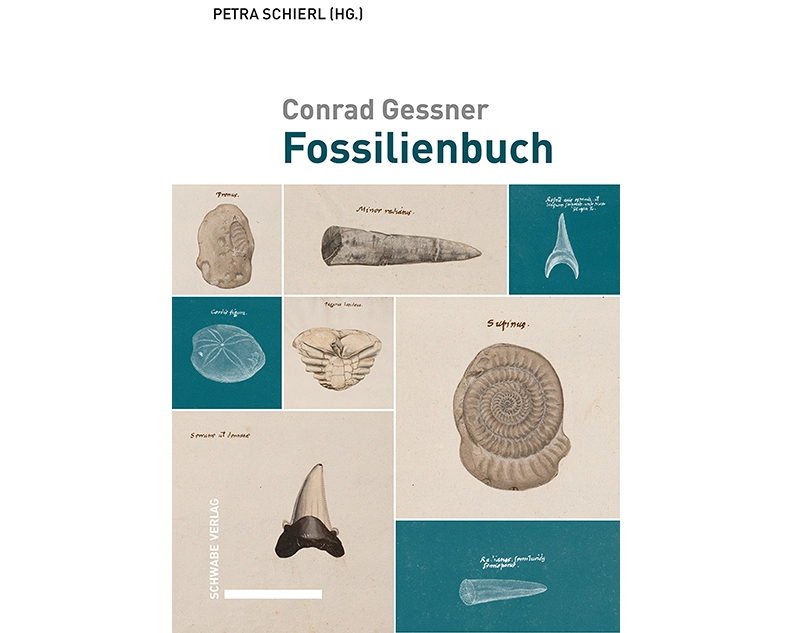 Fossilienbuch