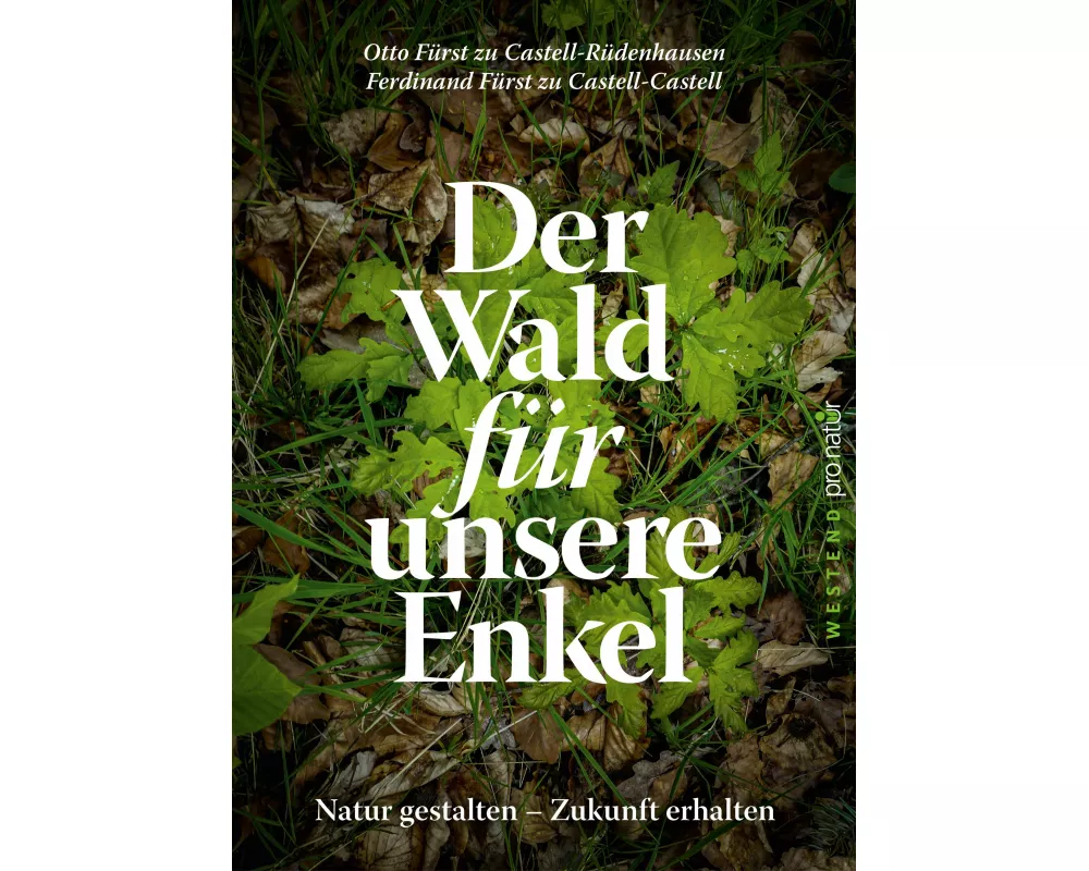 Der Wald für unsere Enkel