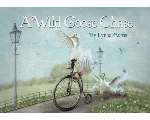 A Wild Goose Chase